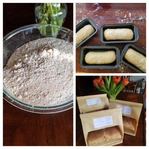 Organic wheat berries (soft white) – whole or ground