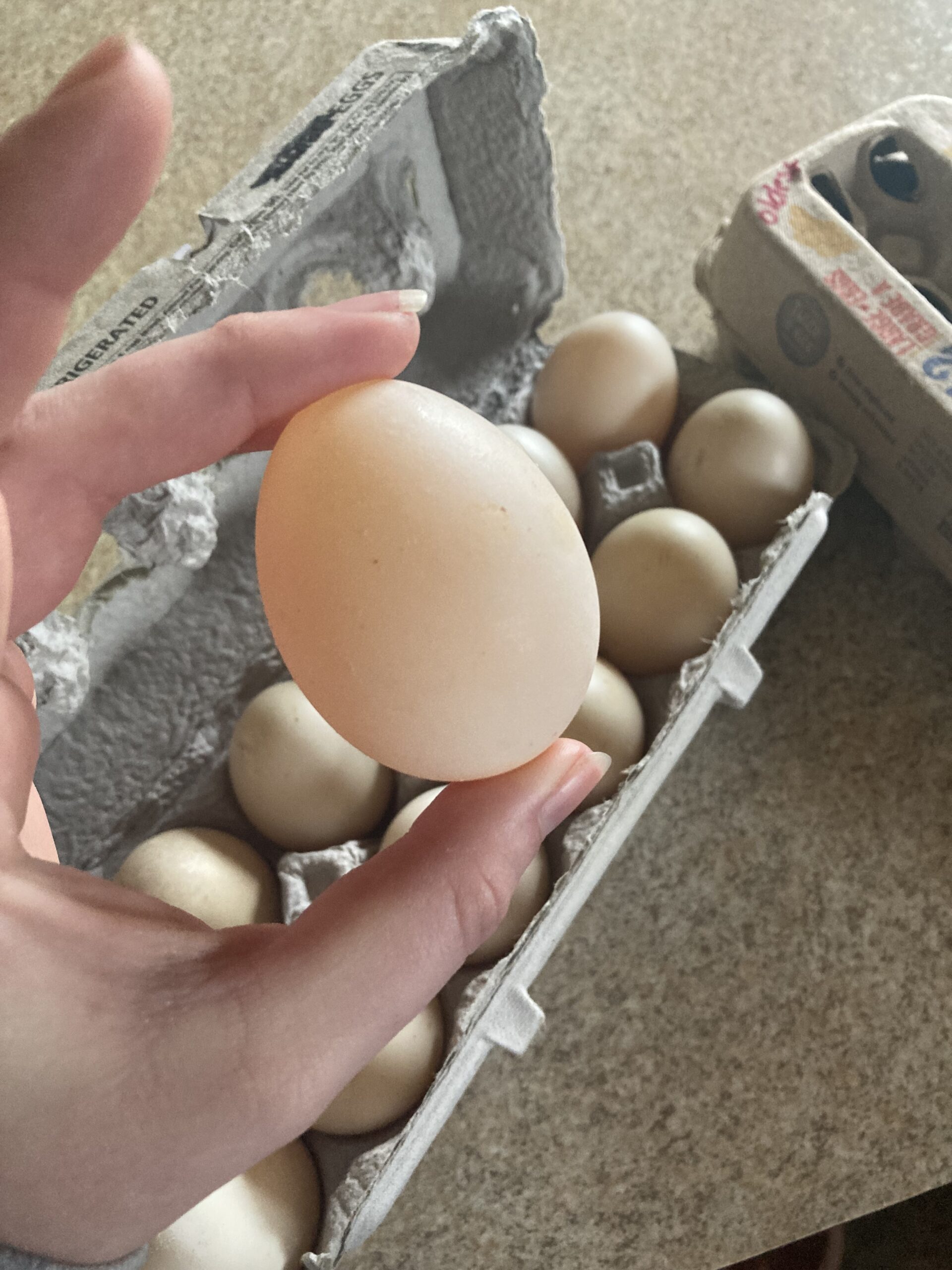 Farm Fresh Duck Eggs